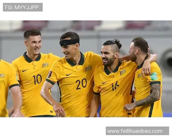 足球世界杯赛事数据挖掘及应用 足球世界杯赛事数据挖掘及应用