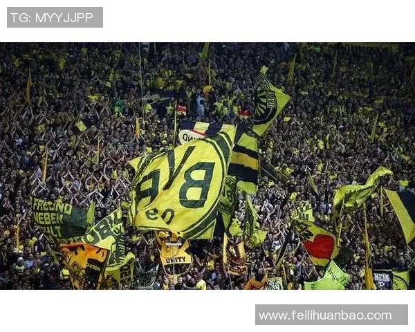 你不知道的多特蒙德：十大冷知识大揭秘