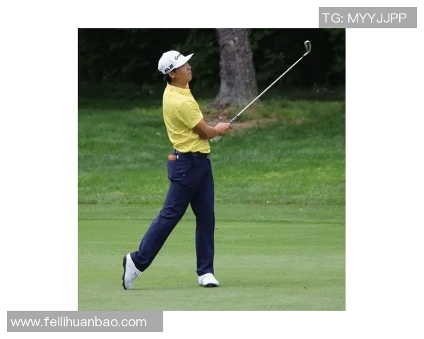 今日体育快讯：最新转会动态、伤病更新与赛事战报全方位盘点